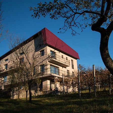 Hotel Panoramic Baia Sprie Zewnętrze zdjęcie