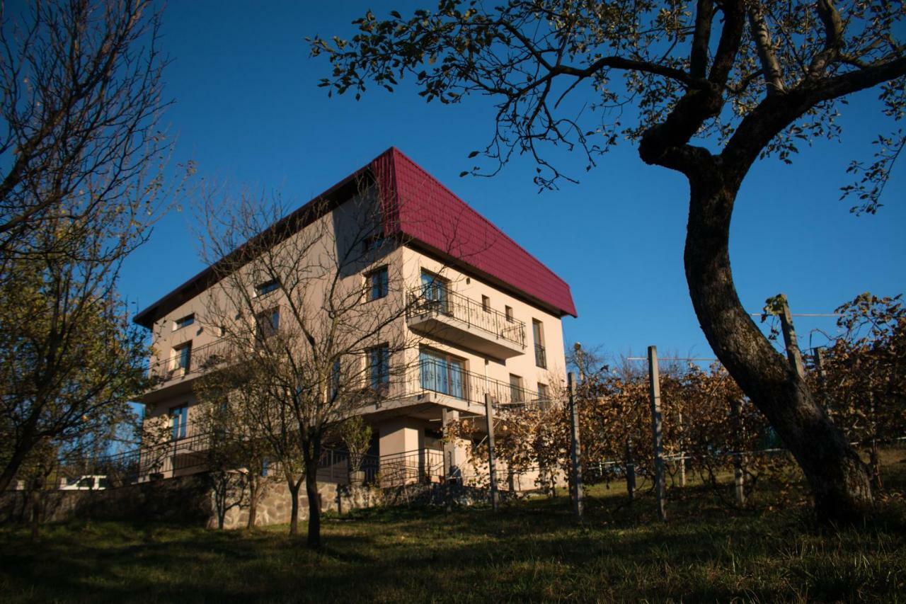 Hotel Panoramic Baia Sprie Zewnętrze zdjęcie