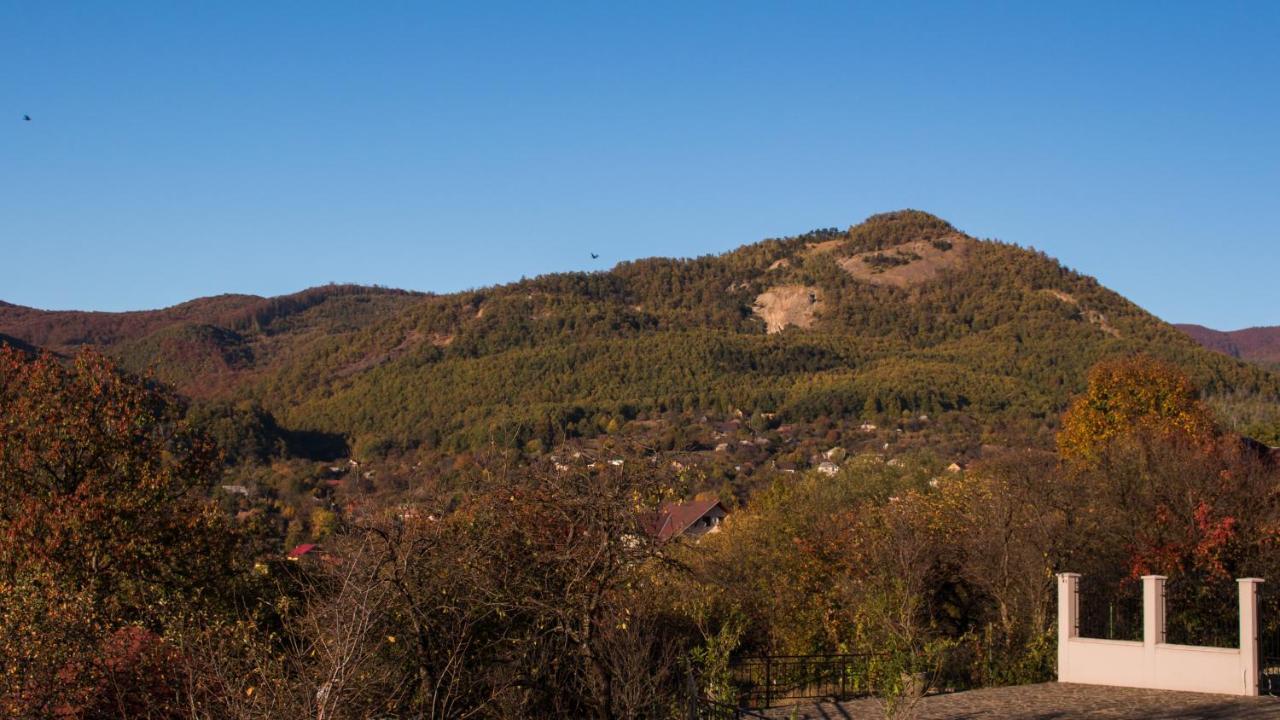 Hotel Panoramic Baia Sprie Zewnętrze zdjęcie