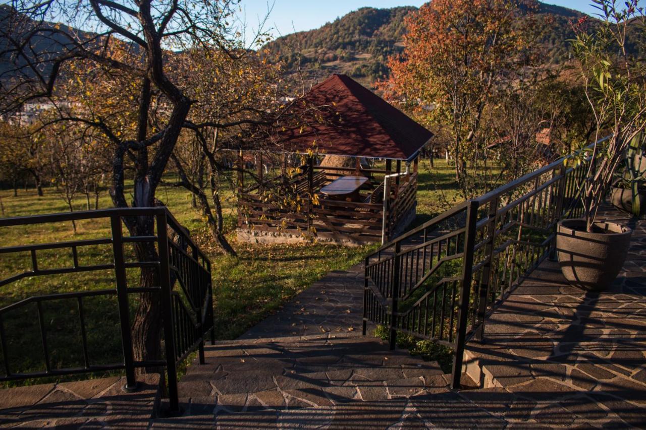 Hotel Panoramic Baia Sprie Zewnętrze zdjęcie